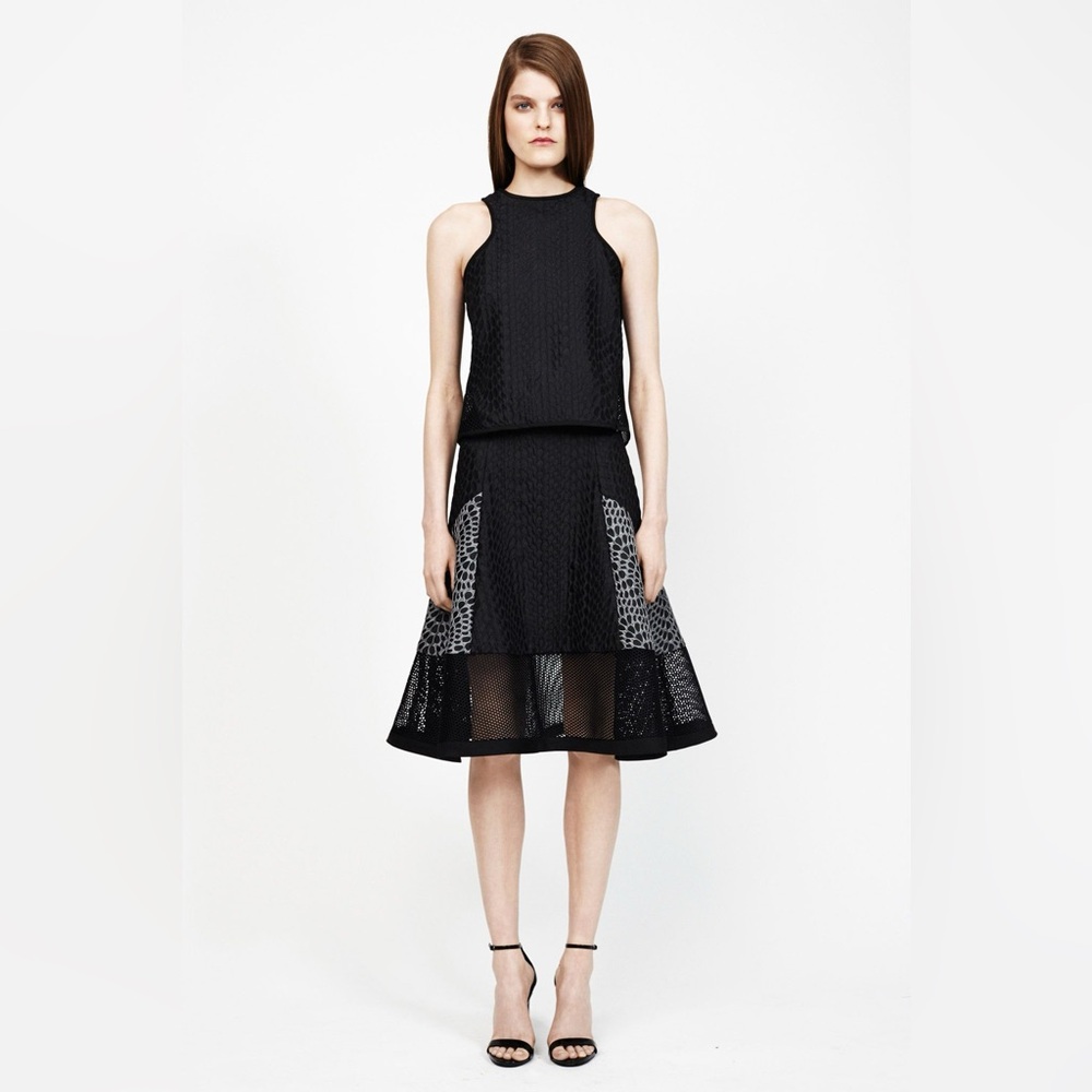 Jonathan Simkhai Black and Gray A-Line mesh  Skirt 4 euc
